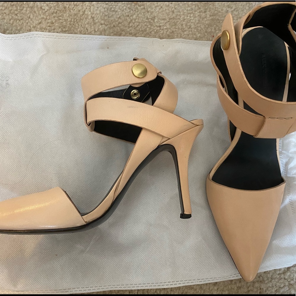 Alexander Wang Pointed Toe Stiletto Pumps